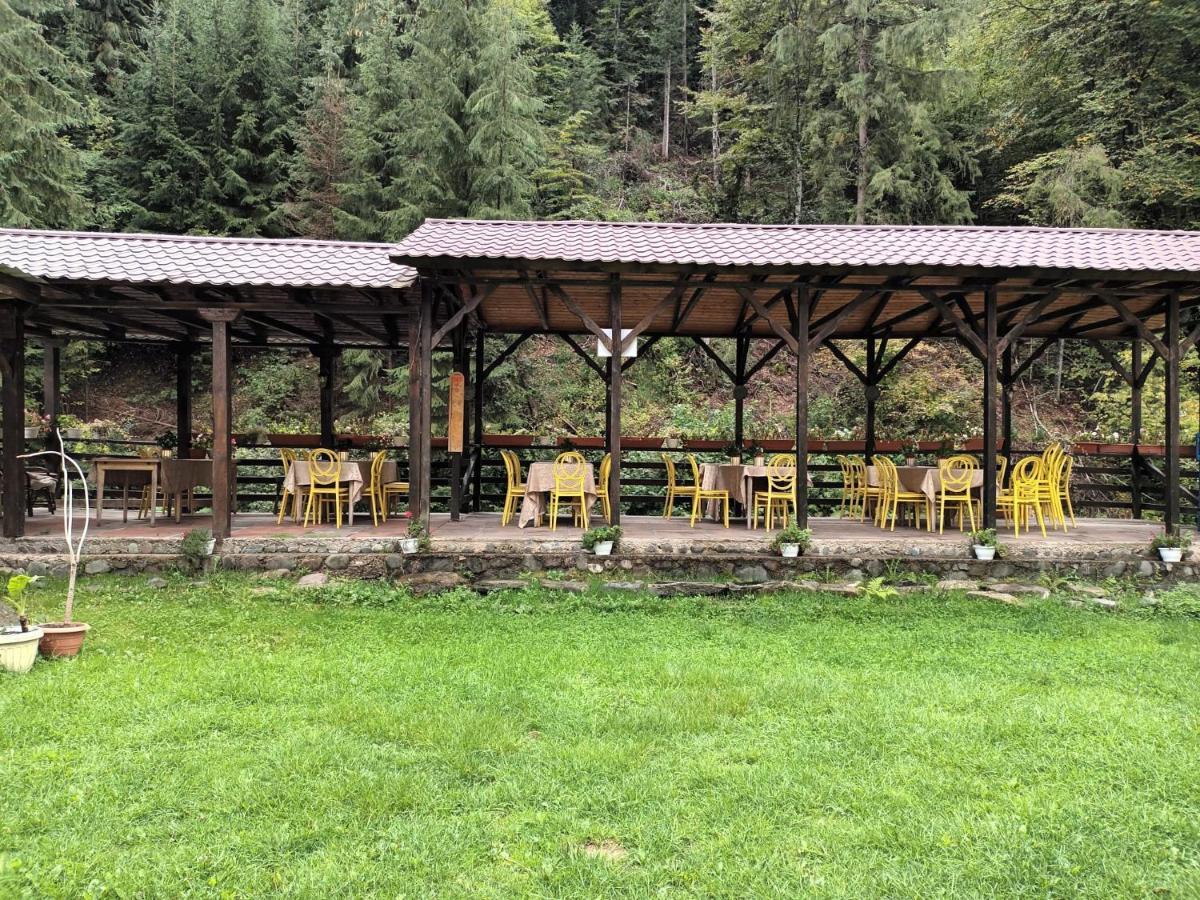 Pension Onelia Gîrda de Sus Exterior foto