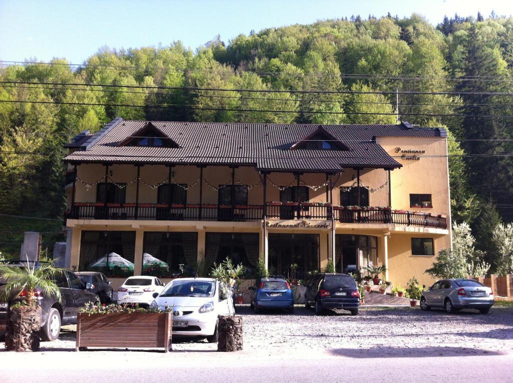 Pension Onelia Gîrda de Sus Exterior foto